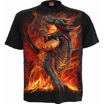 Spiral Camiseta Draconis para hombre