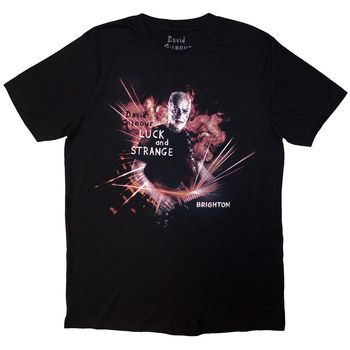 David Gilmour Camiseta manga larga Luck Strange Brighton para mujer