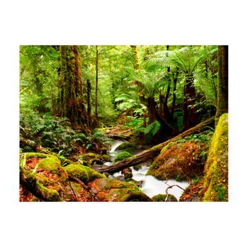 Papel Pintado 3d - Rainforest (350x270 Cm)