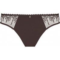 jane briefs
