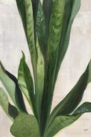 cuadro sanseveria acuarela impresion sobre lienzo 60x90cm