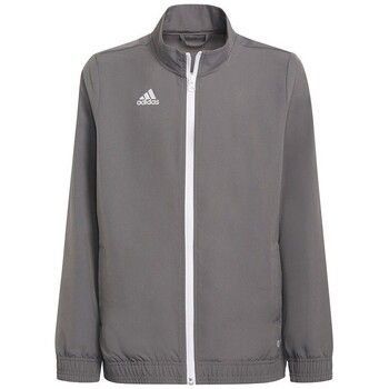 adidas Chaqueta deporte Entrada 22 Presentation para hombre