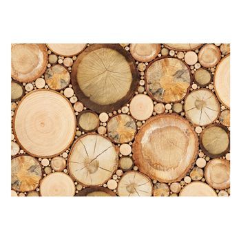 Papel Pintado 3d - Anillos En La Madera (350x245 Cm)