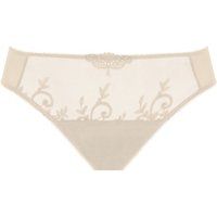 apolline brief