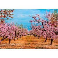 fotomural vinilo camino almendros 150 x 100 cm