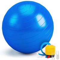 ozio fitness fitball pelota yoga pilates 65cm azul resistente