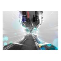 papel pintado 3d - city woman 350x245 cm