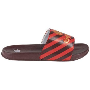 Harry Potter Chanclas 2300004751 para niño