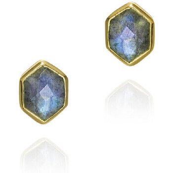Jorge Revilla Pendientes Pendientes Hexagonal Atlas para mujer