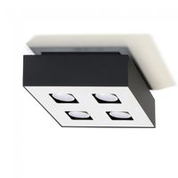 plafon de techo mono 4 luces
