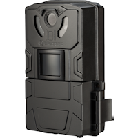 birdsmall animal-camera sfc-1