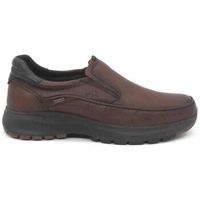 fluchos zapatos bajos f2064 para hombre