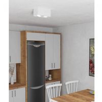 plafon de techo plaza 2 luces