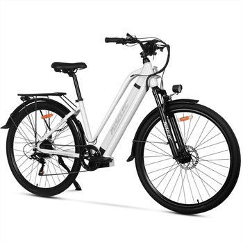 Bicicleta Eléctrica Urbana Paselec Tx10 Con Batería De 48 V Y 19,2 Ah.