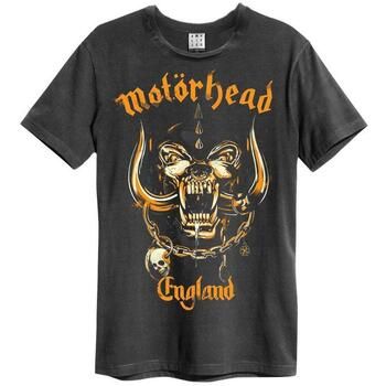 Amplified Clothing Tops y Camisetas Bronze England para mujer