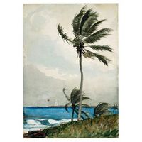 legendarte - cuadro lienzo impresion digital - palmera nassau - homer winslow - decoracion pared cm 50x70