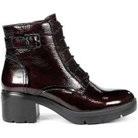 fluchos botines f2107 para mujer