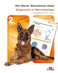 pet owner educational atlas diagnostic in dermatology 2nd ed