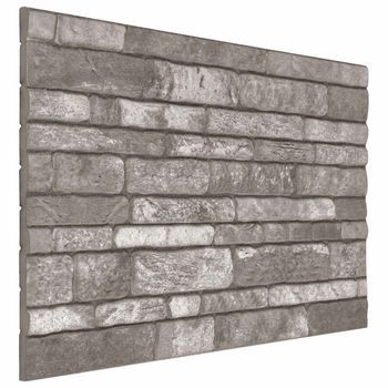 Paneles De Pared 10 Uds. 100 X 50 Cm Gris Oscuro Espuma Eps Vidaxl