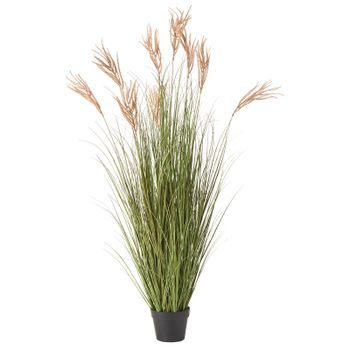 Planta Artificial En Maceta Bromo Material Sintético Decoración Con Maceta Negra 150 Cm Flor Verde Y Marrón Claw Flower