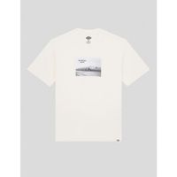dickies camiseta camiseta sevier ss tee egret para hombre