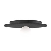 plafon de techo san negro