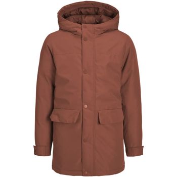 Jack & Jones Parka 12236553 JJCHAMP PARKA JACKET JNR PICANTE para niño