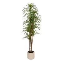 dracena verde edi 180 cm con maceta blanca - atmosphera createur dinterieur