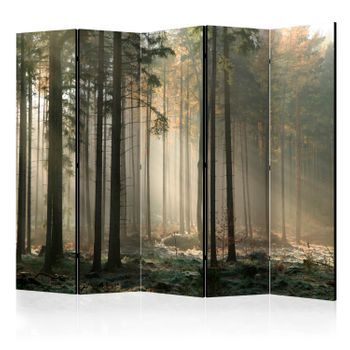 Biombo - Foggy November Morning Ii (225x172 Cm)