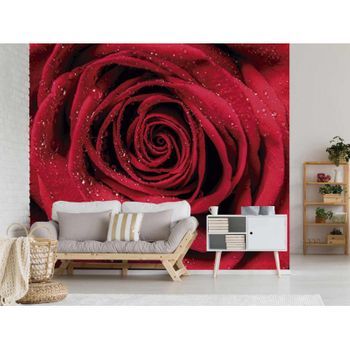 Fotomural Vinilo Rosa Rocío Matinal 500 X 300 Cm