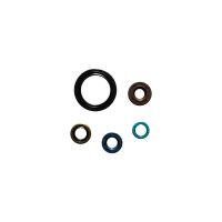 kit reten motor kawasaki klx 250 s -12 athena