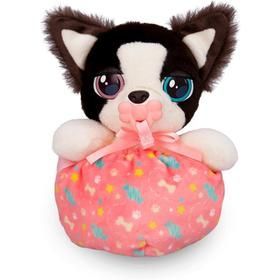 Mini Border Collie Baby Paws