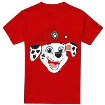 Dessins Animés Tops y Camisetas Grin para hombre