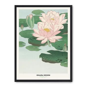 Cuadro Water Lily