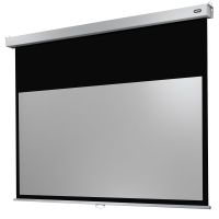 celexon professional plus pantalla de proyeccion manual 220x124cm