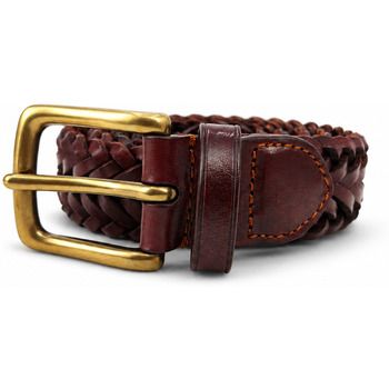 Dragon Alliance Cinturón 9Play Polo Tip 3Cm para mujer