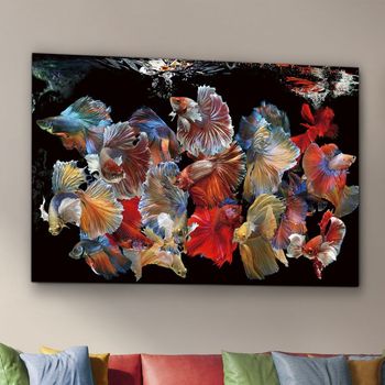 Fotografía impresa peces siam