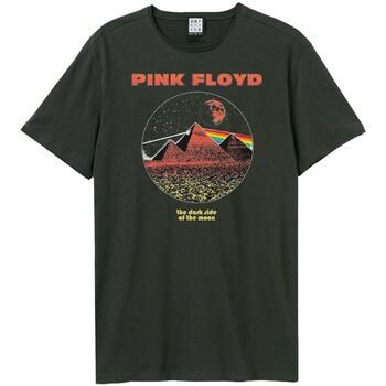 Amplified Clothing Tops y Camisetas Vintage Pyramids para hombre