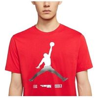 nike camiseta jordan legacy aj11 para hombre