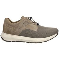 josef seibel zapatos hombre blucher cameron-12 sand para hombre