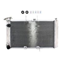 refrigerador motor triumph tiger 800 -14 agua