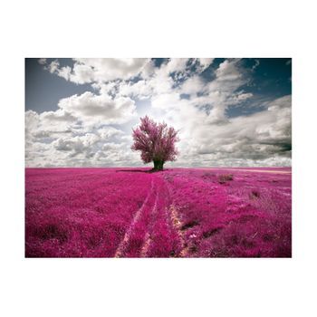 Papel Pintado 3d - Prado De Color Magenta (250x193 Cm)
