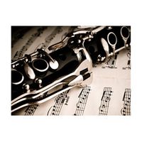 papel pintado 3d - clarinete y notas musicales 300x231 cm
