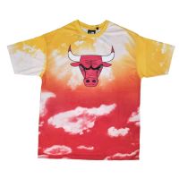 camiseta new era chicago bulls nba sky print oversized