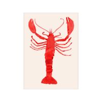 poster langosta sin marco  - 30 x 40 cm