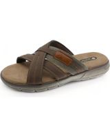 de beppi 2207110 brown