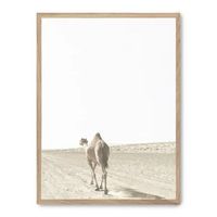 cuadro camel i