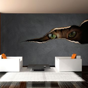 Fotomural - La Mirada Del Gato