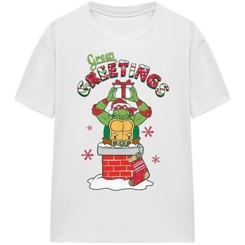 Teenage Mutant Ninja Turtles Tops y Camisetas Green Greetings para mujer