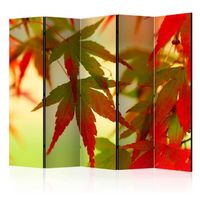 biombo - colourful leaves ii 225x172 cm